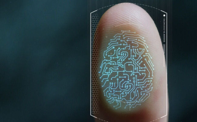 La Autenticación sin Fisuras: Razones para Adoptar la Identificación mediante Huella Digital